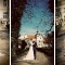 Hochzeit2009_014.jpg